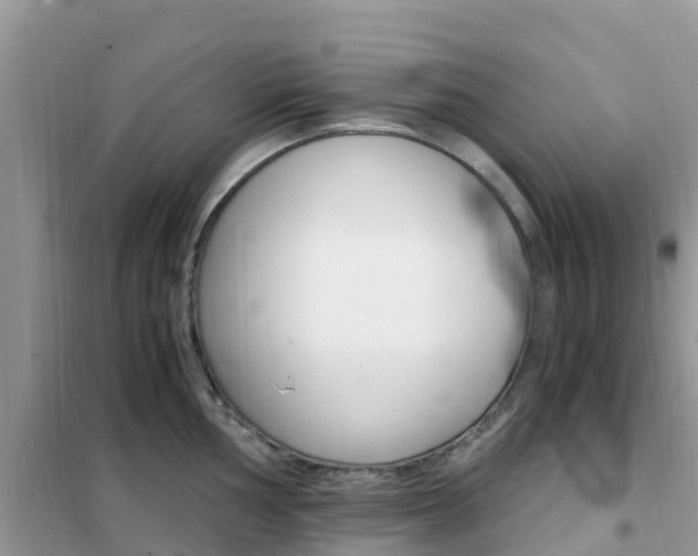 X0000102371002200808011019