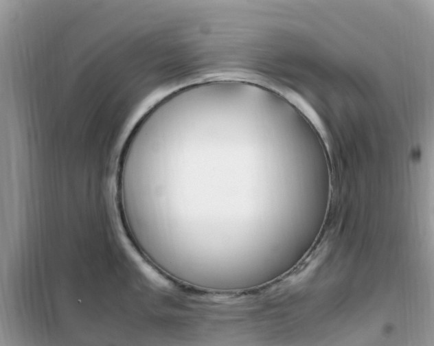 X0000102371005200808011019