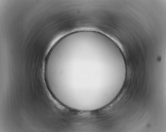 X0000102371006200808011019