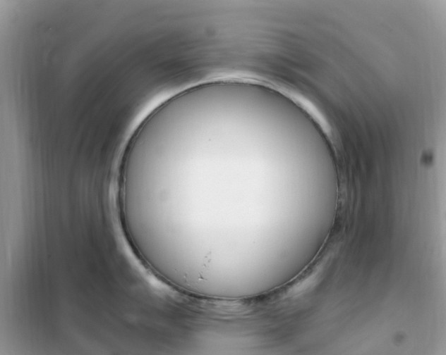 X0000102371007200808011019