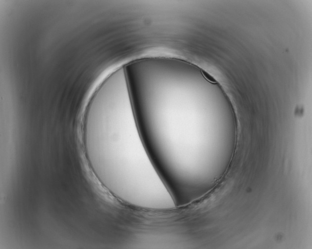 X0000102371008200808011019