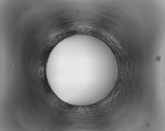 X0000102371013200808011019