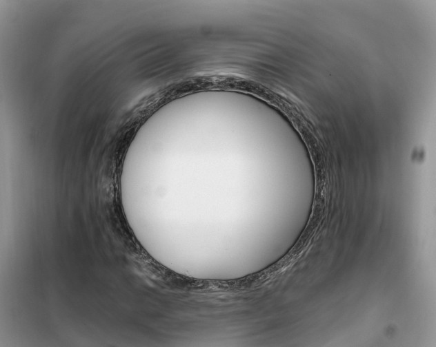 X0000102371014200808011019