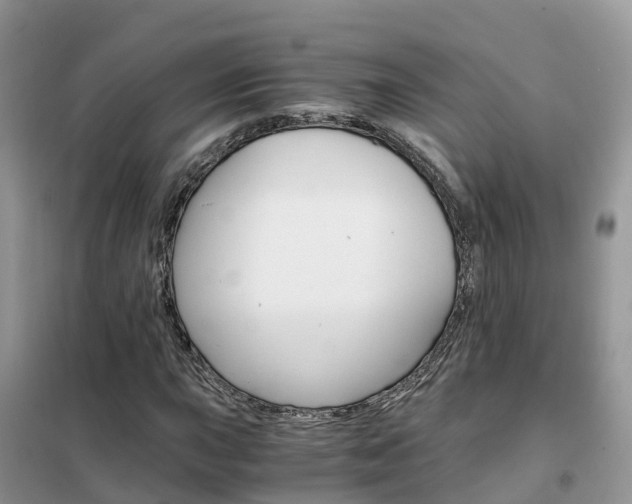 X0000102371015200808011019