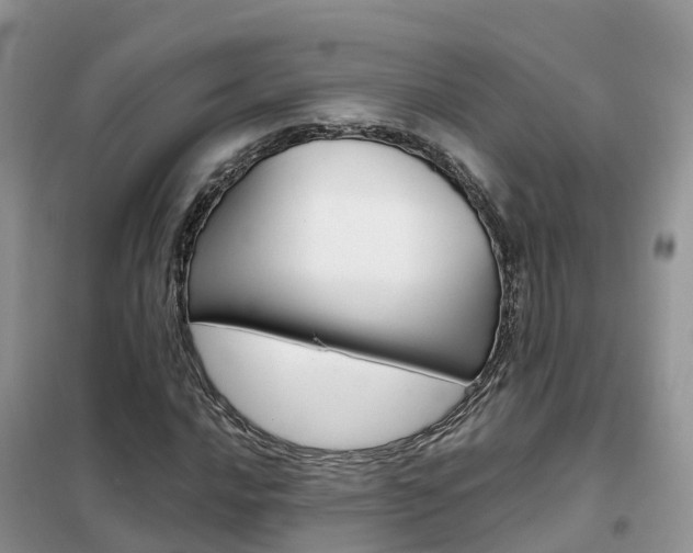 X0000102371016200808011019