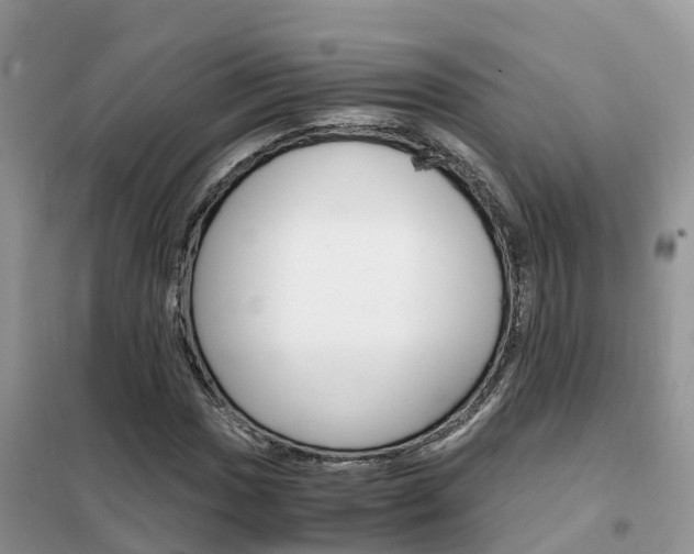 X0000102371017200808011019