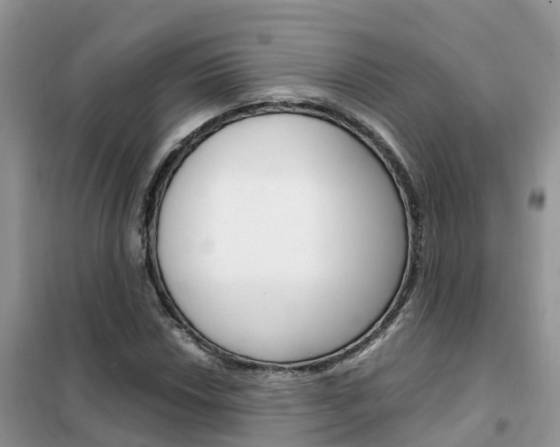 X0000102371018200808011019