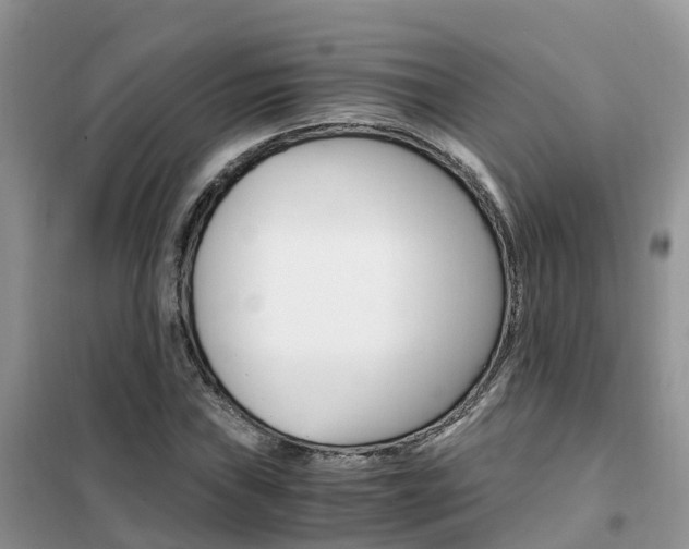 X0000102371019200808011019