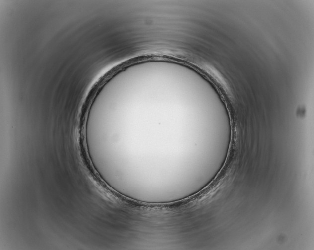 X0000102371020200808011019