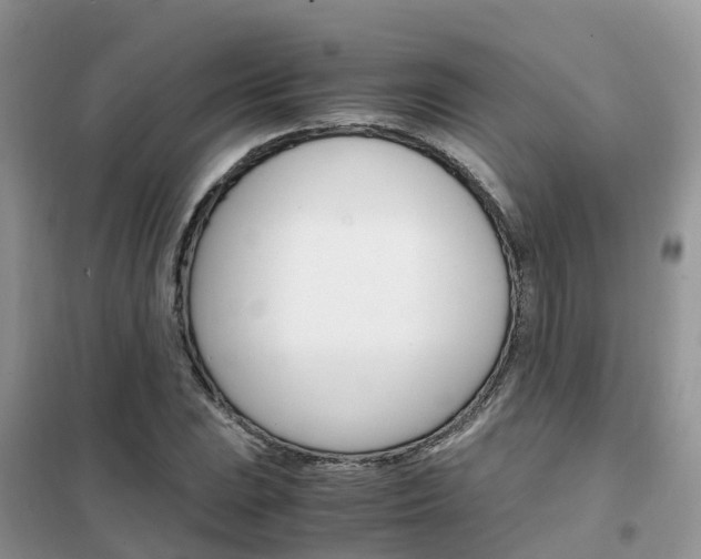 X0000102371023200808011019