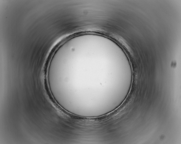 X0000102371024200808011019