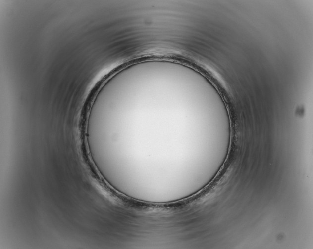X0000102371026200808011019