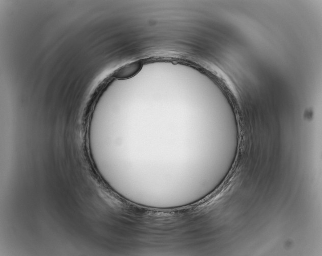 X0000102371027200808011019