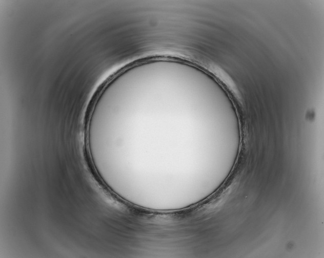 X0000102371028200808011019
