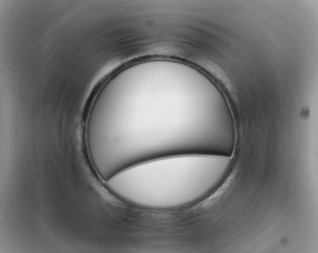 X0000102371029200808011019