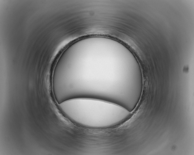 X0000102371030200808011019