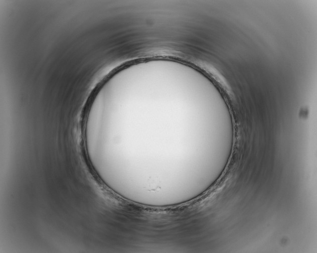 X0000102371031200808011019