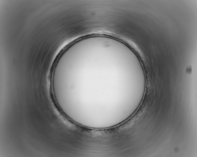 X0000102371032200808011019