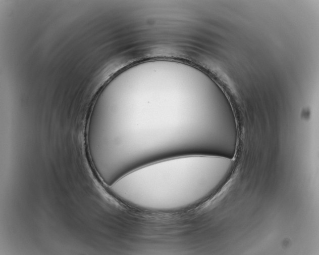 X0000102371033200808011019