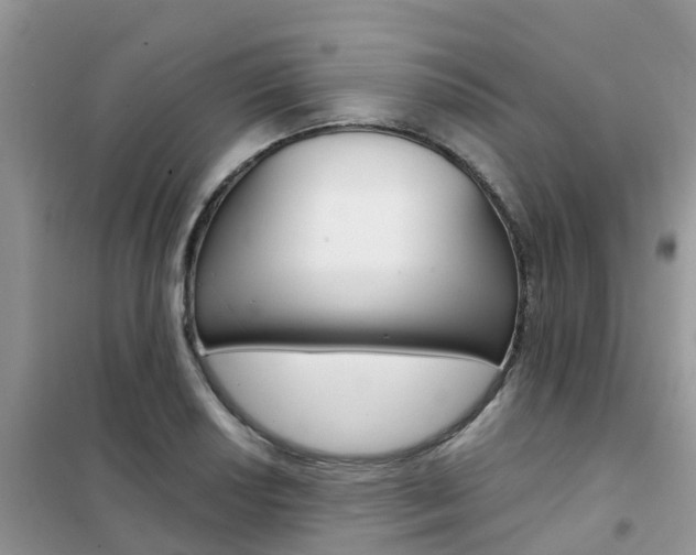 X0000102371034200808011019