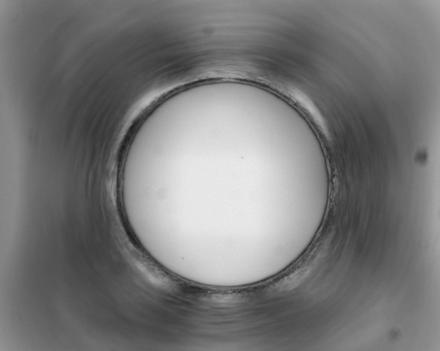 X0000102371035200808011019