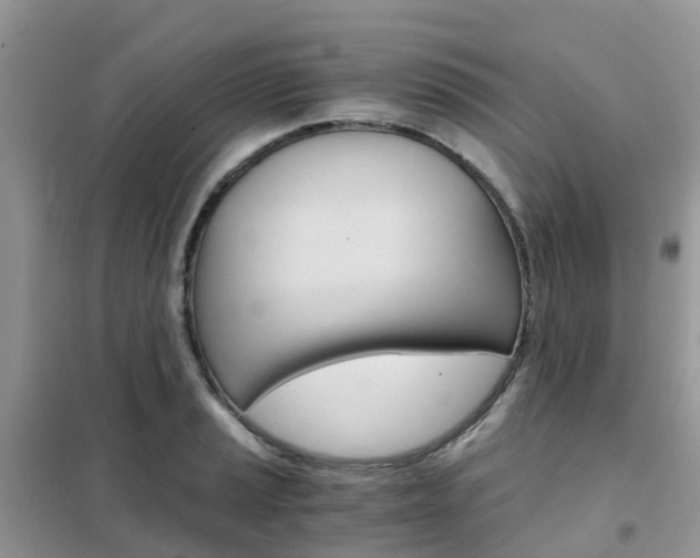 X0000102371037200808011019