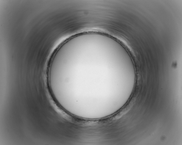 X0000102371038200808011019