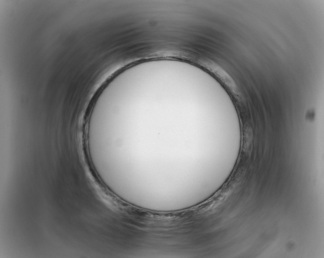 X0000102371039200808011019