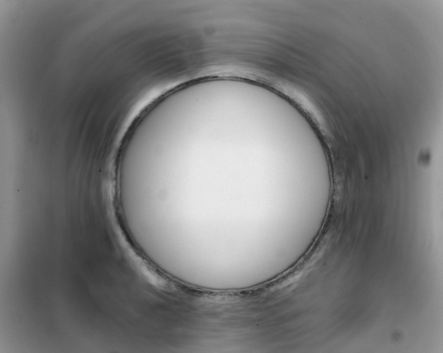 X0000102371040200808011019