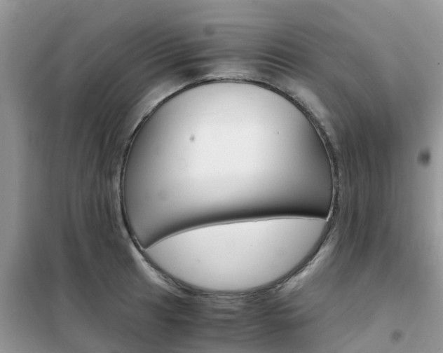 X0000102371041200808011019