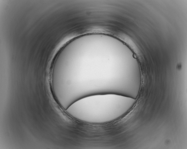 X0000102371043200808011019
