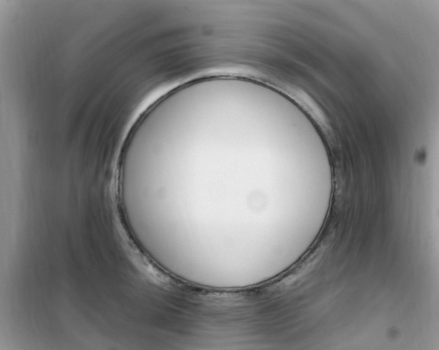 X0000102371044200808011019