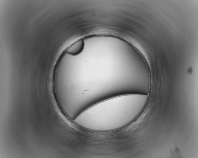 X0000102371045200808011019