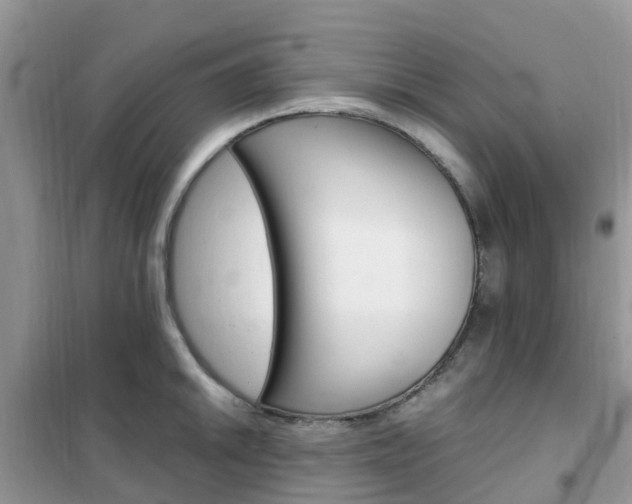 X0000102371046200808011019