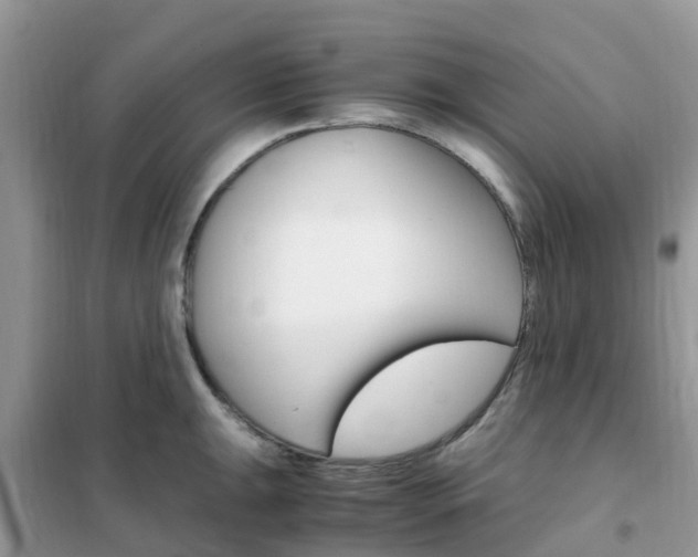 X0000102371047200808011019