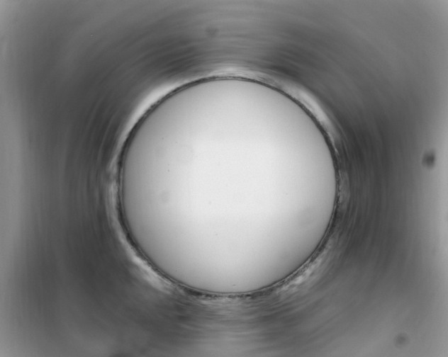 X0000102371048200808011019