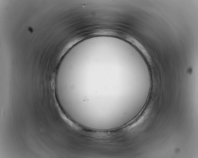 X0000102371049200808011019