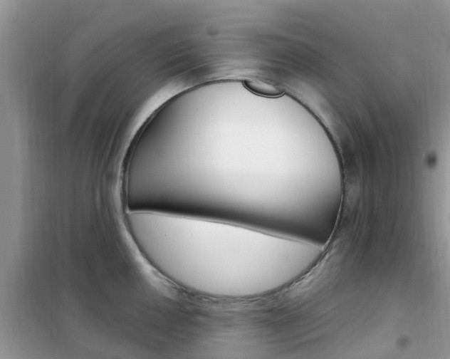 X0000102371050200808011019