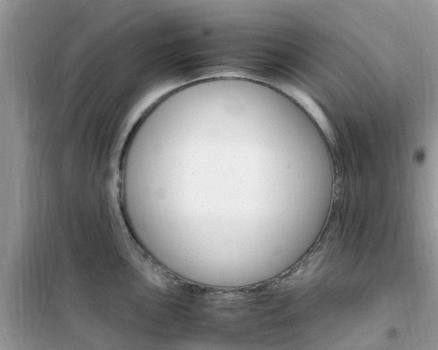 X0000102371051200808011019