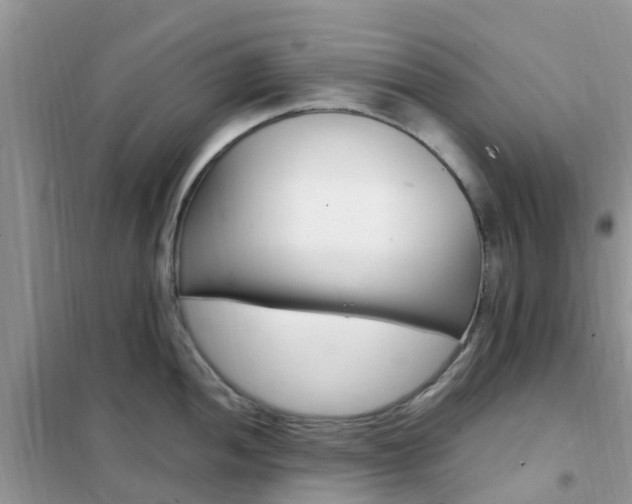 X0000102371052200808011019
