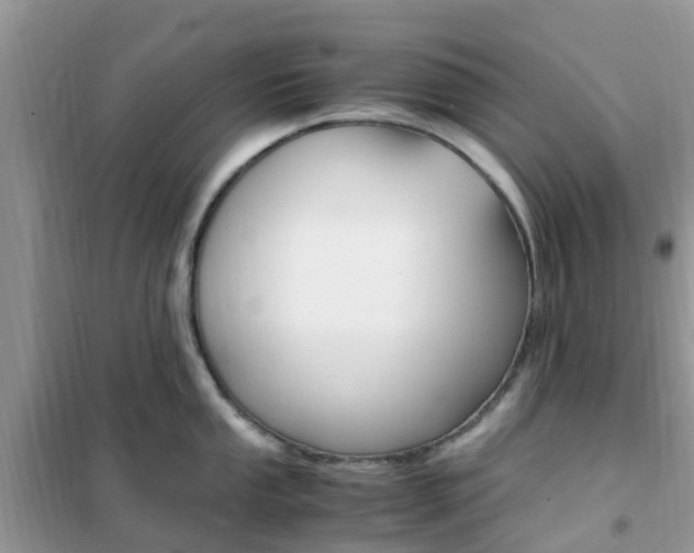 X0000102371053200808011019