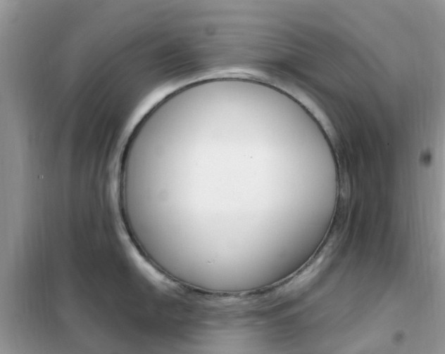 X0000102371054200808011019