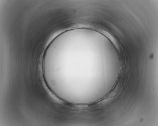 X0000102371055200808011019