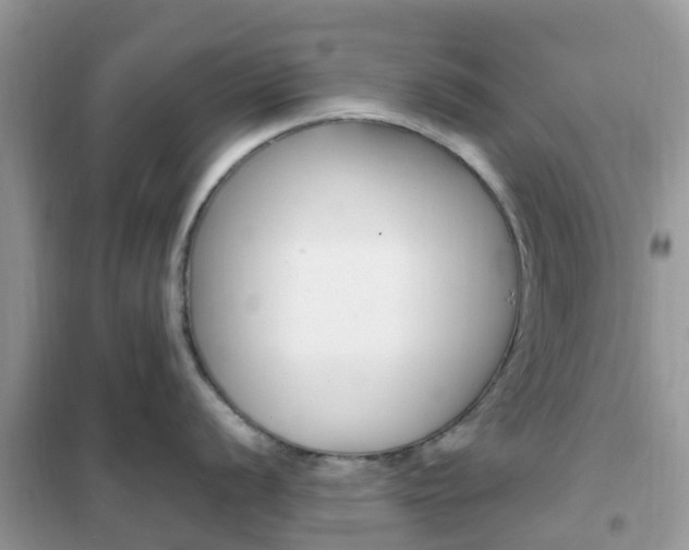 X0000102371056200808011019