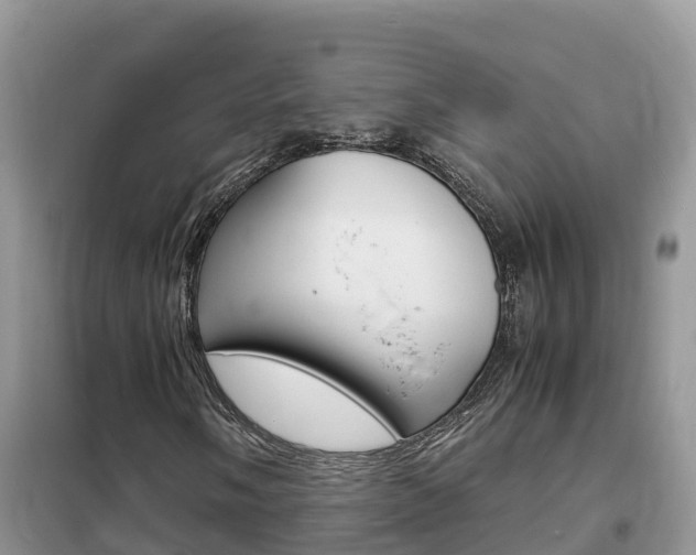 X0000102371058200808011018