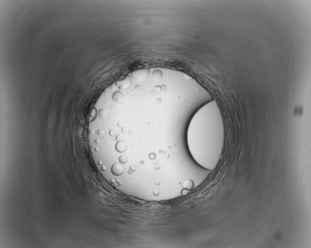 X0000102371059200808011018