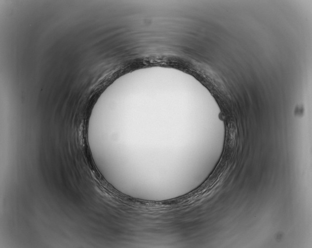 X0000102371060200808011018