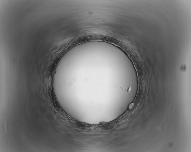 X0000102371061200808011018
