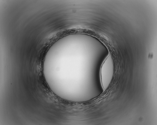 X0000102371062200808011018