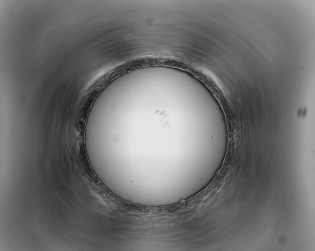 X0000102371064200808011018